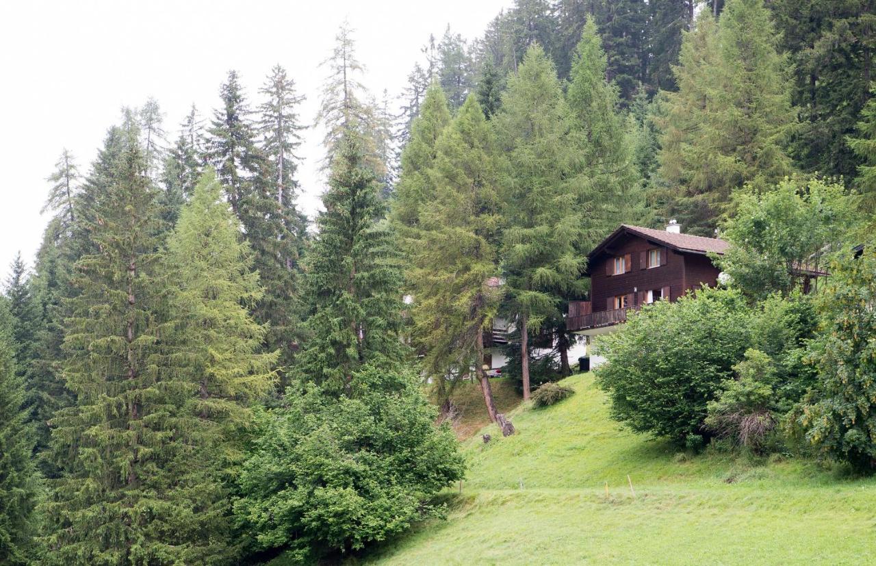 5 Room House Joch Churwalden- Lenzerheide Ngoại thất bức ảnh